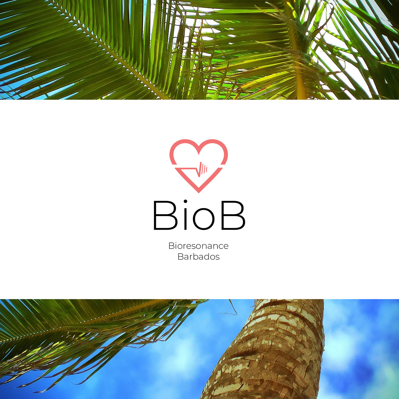 About Bio-B - Bio-B